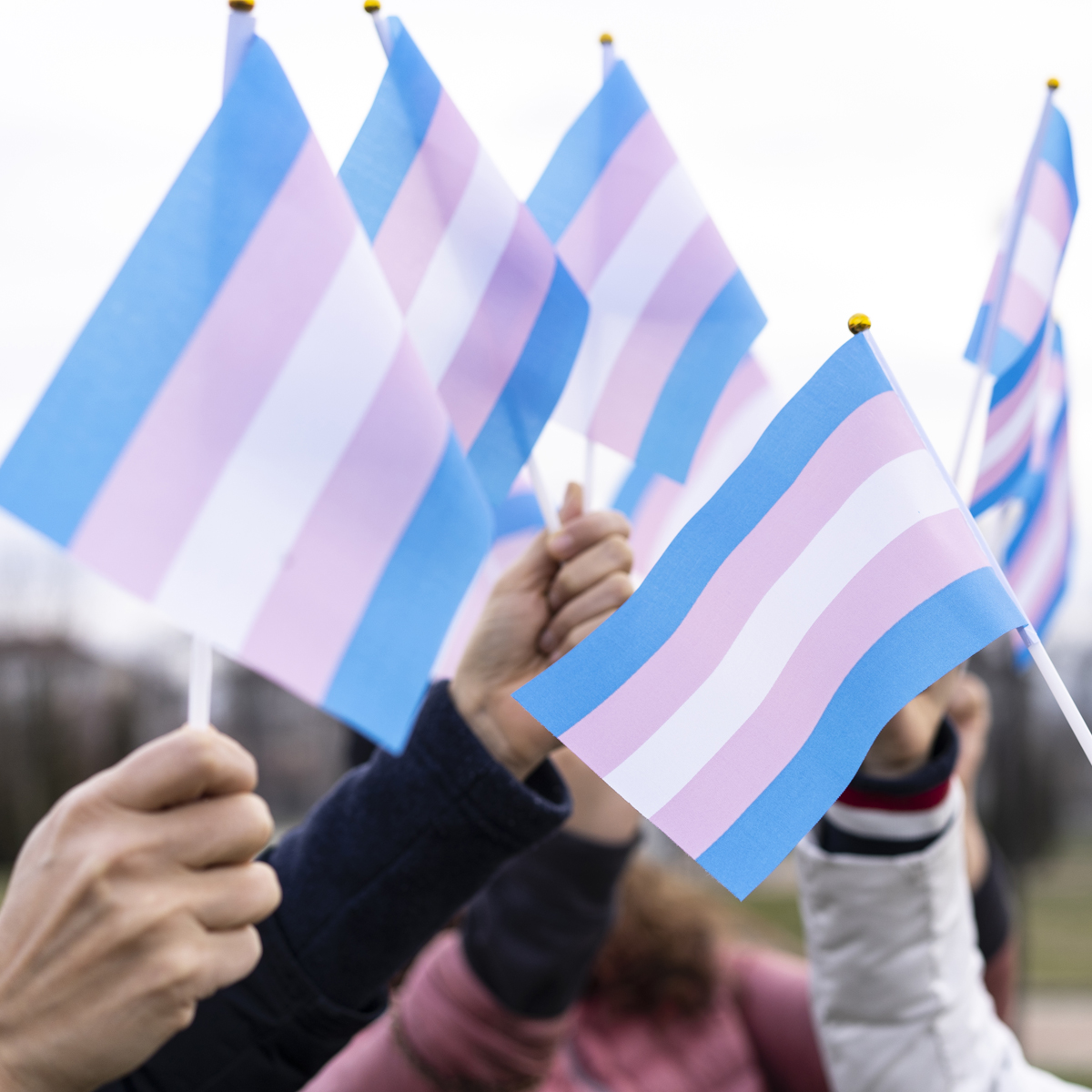Joint statement – Trans visibility starts by upholding trans human rights