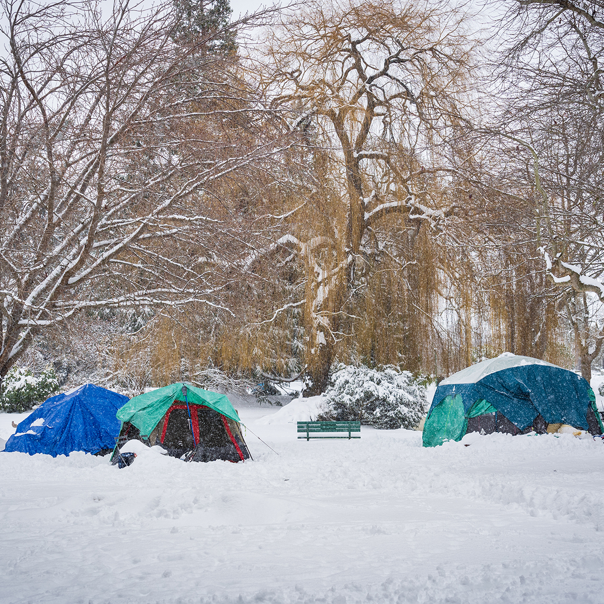Encampments in winter